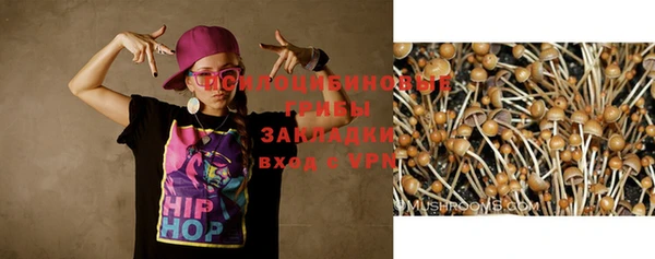 тгк Армянск